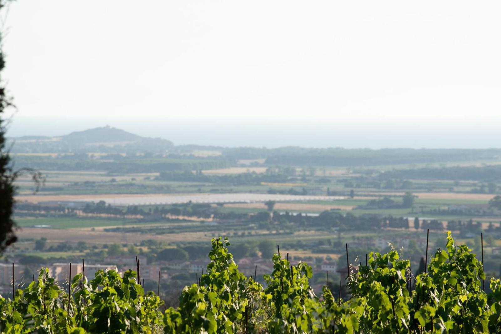 Castello Bonaria Wine & Spa Resort กัมปีลยา มาริตติมา ภายนอก รูปภาพ