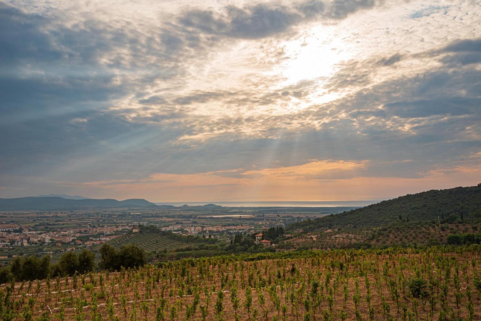 Castello Bonaria Wine & Spa Resort กัมปีลยา มาริตติมา ภายนอก รูปภาพ